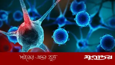 ক্যানসারের ঝুঁকি কমাতে ৪টি কার্যকরী পানীয়