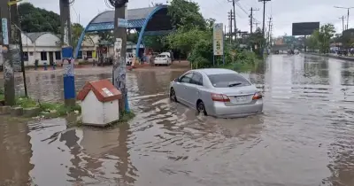 ময়মনসিংহে ভারী বৃষ্টিতে জলাবদ্ধতা, বোরো ধান চাষিরা বিপাকে
