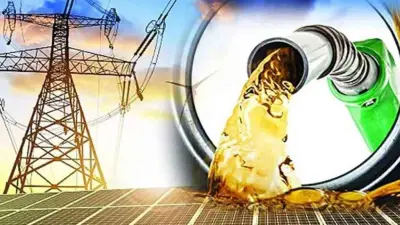 জ্বালানি-বিদ্যুৎ সংকটে শিল্পোৎপাদন বিপর্যয়ের মুখে, জাপানে জনশক্তি পাঠানোর প্রস্তুতি