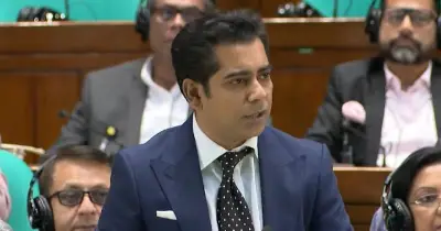 আন্দালিবের আক্রমণে উত্তপ্ত সংসদ, শফিকুরের পাল্টা জবাব