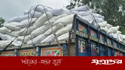মাদারীপুরে ভিজিডির সাড়ে ২০ টন চোরাই চাল জব্দ, ট্রাকসহ আটক
