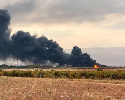 ইসরায়েলের বিরুদ্ধে ইকোসাইডের অভিযোগ লেবাননের পরিবেশমন্ত্রীর