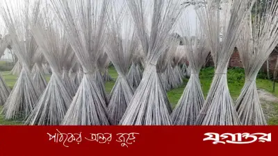 পাটকাঠি থেকে গ্রাফিন তৈরির সাফল্যে বিশ্বে চমক গবেষকদের