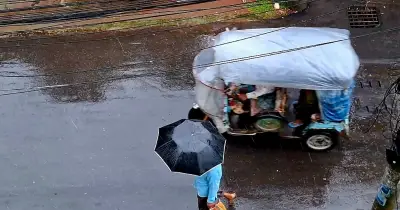 ময়মনসিংহে ভারী বৃষ্টি ও ঝোড়ো হাওয়ায় জলাবদ্ধতা ও ফসলের ক্ষতি