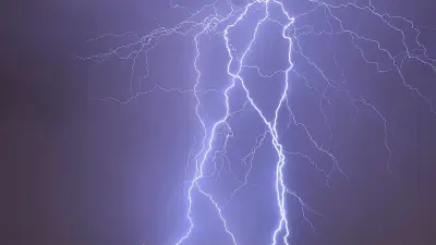 কলাপাড়ায় বজ্রপাতে ২৯ গরুর মৃত্যু, ক্ষতিগ্রস্ত ২৩ কৃষক