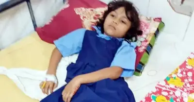 মাদারীপুরে মিড ডে মিলে নিম্নমানের খাবার: ৩০ শিক্ষার্থী অসুস্থ, ৬ জন হাসপাতালে