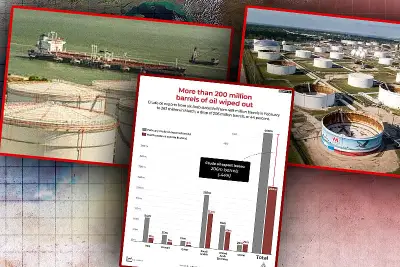 বিশ্বজুড়ে অনলাইন শিক্ষার চাহিদা বৃদ্ধি: প্রযুক্তির ভূমিকা ও চ্যালেঞ্জ