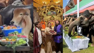 বাংলাদেশি অভিনেতা শাকিব খানের নতুন চলচ্চিত্র ‘রাজা বাবু’র শুটিং শুরু