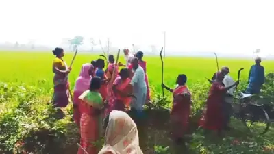 গাইবান্ধায় সাঁওতাল সংঘর্ষ, প্রবাসী কল্যাণ মন্ত্রীর ভিসা জটিলতা নিরসনের প্রতিশ্রুতি