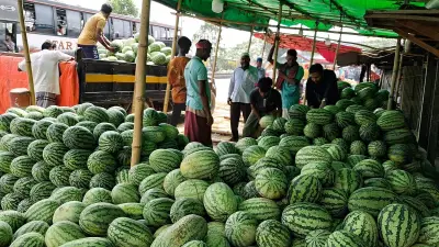 বাংলাদেশের প্রাকৃতিক সৌন্দর্য: ছবিতে ধরা পড়ল অপরূপ দৃশ্য