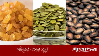 গরমে সুস্থ থাকতে সকালে খালি পেটে ভেজানো বীজ খাওয়ার উপকারিতা