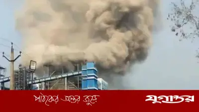 ভারতে তাপবিদ্যুৎ কেন্দ্রে বিস্ফোরণে ১১ জন নিহত, আহত ২২