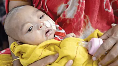 বনানীতে বউ মেলায় নারীদের ভিড়, হরিণ জবাই ভিডিও ভাইরাল