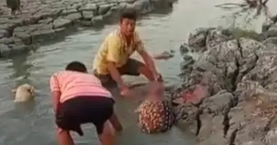 মিরসরাই উপকূলে চিত্রা হরিণ জবাই: ভাইরাল ভিডিওতে ধরা পড়ল নৃশংস দৃশ্য