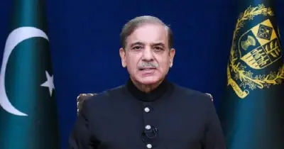 পাকিস্তানি প্রধানমন্ত্রী শাহবাজ শরিফের সৌদি আরব সফর, যুবরাজ সালমানের সঙ্গে আলোচনা