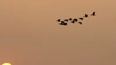 বাংলাদেশের প্রাকৃতিক ও সাংস্কৃতিক সৌন্দর্যের একঝলক: ১৬ এপ্রিলের চিত্রমালা