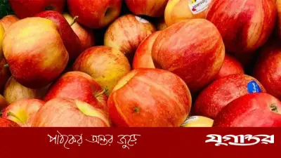 লিভার সুস্থ রাখতে প্রতিদিন খালি পেটে দুটি আপেল: বিশেষজ্ঞদের পরামর্শ