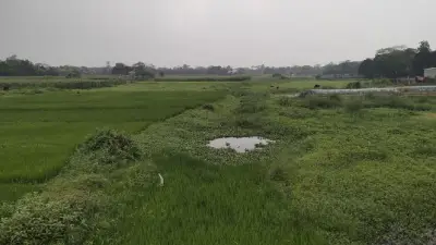 স্বাস্থ্য সুরক্ষায় হাত ধোয়া অপরিহার্য, প্রধানমন্ত্রী স্বাধীনতা পুরস্কার প্রদান করেন