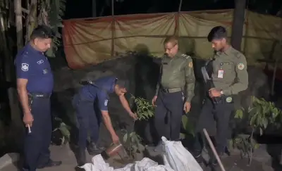 ধামরাইয়ে অবৈধ সিসা কারখানা বন্ধ, গাছের চারা রোপণে পরিবেশ সুরক্ষার উদ্যোগ