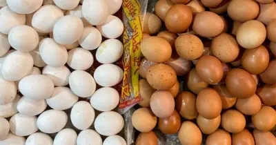 জ্বালানি সংকটে উৎপাদন-পরিবহন ব্যয় বাড়ায় বাজারে সবজি-ডিমের দাম চড়াই