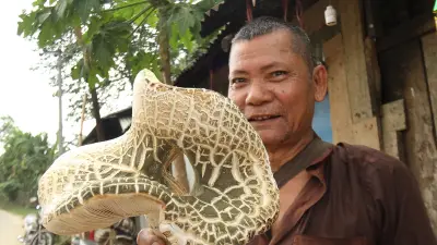 বাংলাদেশের বিভিন্ন প্রান্তের দৈনন্দিন জীবন: উচ্ছে থেকে আঙুর, মাশরুম থেকে ঝুঁকিপূর্ণ সেতু