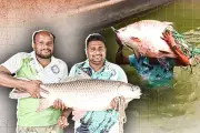 বাংলাদেশে অনলাইন শিক্ষার নতুন দিগন্ত: প্রযুক্তির মাধ্যমে শিক্ষার প্রসার