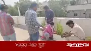 ভারতের হায়দ্রাবাদে সফটওয়্যার ইঞ্জিনিয়ারের ছাদে গাঁজা চাষ, গ্রেফতার