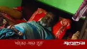 নারায়ণগঞ্জের সোনারগাঁয়ে বিএনপি নেতার দুই পা ভেঙে দিয়েছে দুর্বৃত্তরা