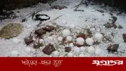 আবহাওয়া অধিদপ্তরের সতর্কতা: ৫ বিভাগে শিলাবৃষ্টির সম্ভাবনা, ৯ জেলায় তাপপ্রবাহ