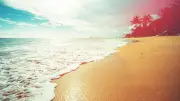 গ্রীষ্মের বিস্ময়কর পরিবর্তন: আইফেল টাওয়ারের বৃদ্ধি থেকে হাসপাতালের মৃত্যুহার পর্যন্ত