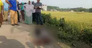 বেনাপোলে ধানক্ষেতে অজ্ঞাত ব্যক্তির মরদেহ উদ্ধার, পুলিশের তদন্ত চলছে