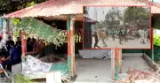ঈশ্বরদী কলেজে ছাত্রদল-শিবির সংঘর্ষ, ককটেল বিস্ফোরণ