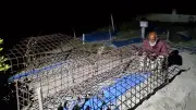 ভারতের কাছে টি-টোয়েন্টি সিরিজে হোয়াইটওয়াশ বাংলাদেশ