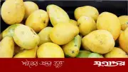 ডায়াবেটিস থাকলেও আম খাওয়া যায়, জেনে নিন সঠিক নিয়ম