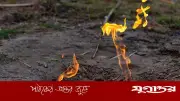 ভোলায় পুকুরে মাটি কাটতেই গ্যাস নির্গমন, কৌতূহল ও চাঞ্চল্য