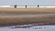 কক্সবাজার সৈকতের বালুতে লুকানো মূল্যবান খনিজ সম্পদ, উত্তোলন শুরু হয়নি