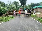 ঠাকুরগাঁওয়ে ঝড় ও শিলাবৃষ্টিতে ফসলের ব্যাপক ক্ষতি