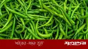 ভারত থেকে ২৮ টাকায় মরিচ আমদানি, দেশে বিক্রি ৩০০ টাকা