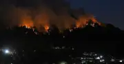 জাপানের ইওয়াতে অঞ্চলে ভয়াবহ দাবানল, ৩ হাজার বাসিন্দা সরানো হয়েছে