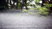 আট বিভাগে ঝড়-বৃষ্টির সম্ভাবনা, তাপপ্রবাহ কমবে