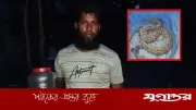 রাসেল ভাইপারের কামড় খেয়েও সাপটি ধরে আনলেন যুবক