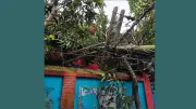 কালবৈশাখীতে কুমিল্লায় ৩৫ ট্রান্সফরমার নষ্ট, ২৭ হাজার গ্রাহক বিদ্যুৎবিচ্ছিন্ন