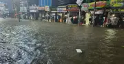 ময়মনসিংহে ভারী বৃষ্টি ও জলাবদ্ধতা, বোরো ধানের ক্ষতির আশঙ্কা