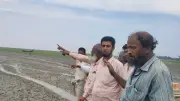 গরুর লেজ ধরে প্রাণ বাঁচানো সন্দ্বীপের রহমত উল্যাহর অবিশ্বাস্য গল্প