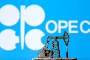 ওপেক থেকে বেরিয়ে গেল সংযুক্ত আরব আমিরাত, জ্বালানি রাজনীতিতে বড় পরিবর্তন