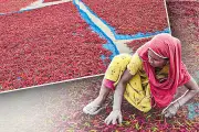 ভিডিওতে ধরা পড়ল বাংলাদেশের অপার সৌন্দর্য
