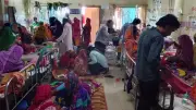 ময়মনসিংহে হামে আরও ২২ শিশু ভর্তি, সাতক্ষীরার নতুন ডিসির মরদেহ আসছে ৪ মে