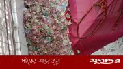বাঘার মাজারে জমে থাকা টাকা নষ্টের শঙ্কা, উদ্বেগ বাড়ছে
