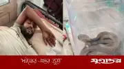 ছোবলের পর জীবন্ত গোখরা সাপ নিয়ে হাসপাতালে যুবক
