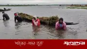 সুনামগঞ্জে বৃষ্টি কমলেও হাওড়ের ফসলের অবস্থা শোচনীয়, কৃষকের দুর্ভোগ চরমে